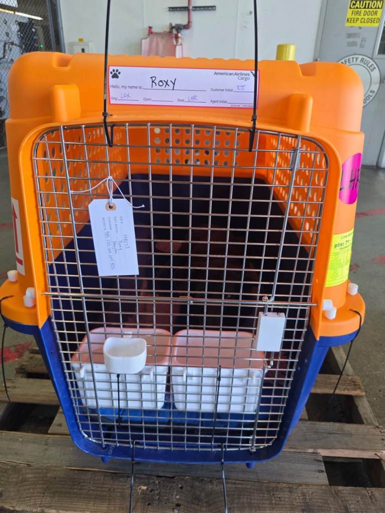 Airline Approved dog crates XL with bowl and safety bars