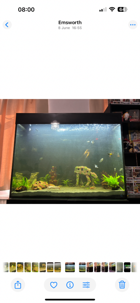 300 L fish tank and stand 