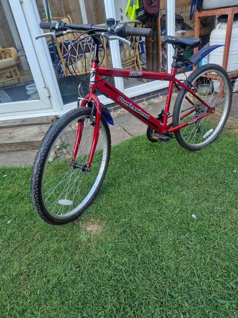 Junior bike 16" frame 