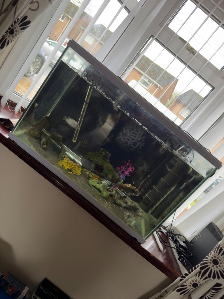 Fish Tank 145L (Mint)