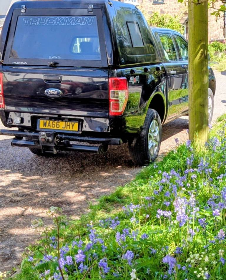Ford, RANGER, 2017, 2198 (cc)