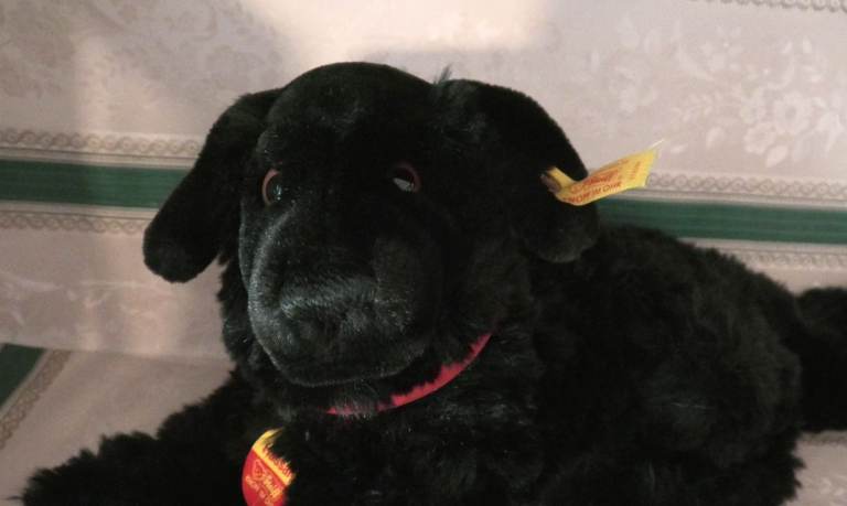 Steiff black dog 'Hassan' (Lab/Retriever?) plush