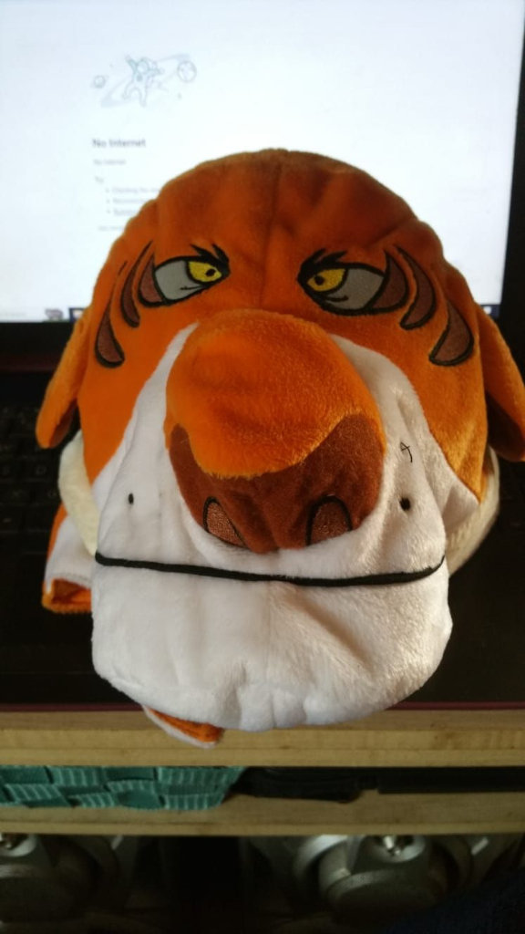 Brand new Tiger hat