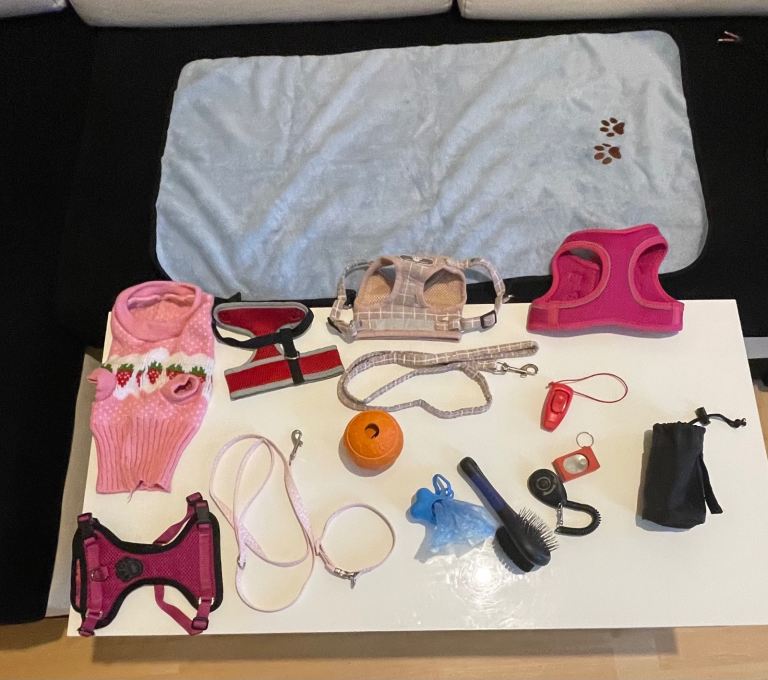 Pet accessories 