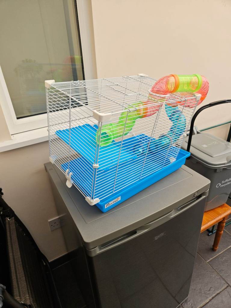 Hamster cage 