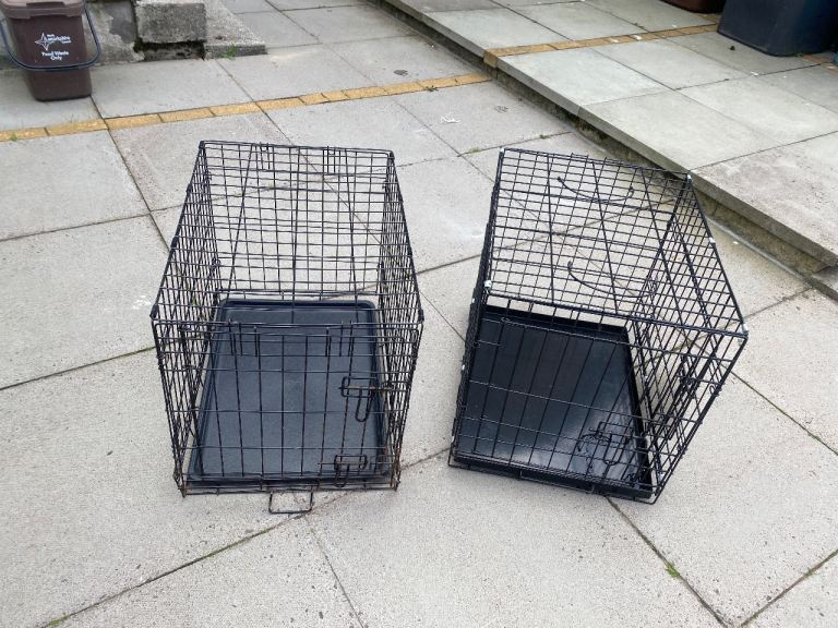 2 dog cases 