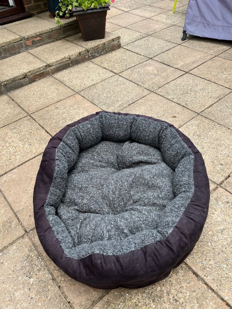 Large dog bed