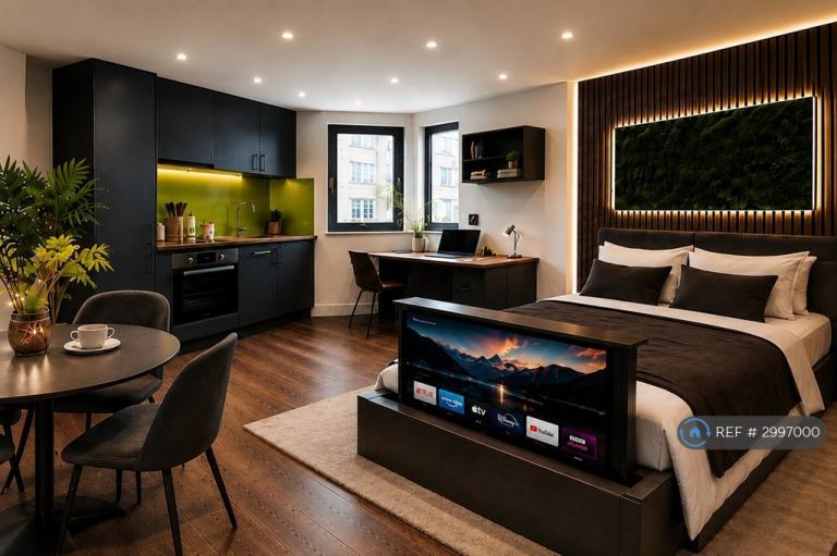 Studio flat in The Junction, Nottingham, NG1 (#2997000)
