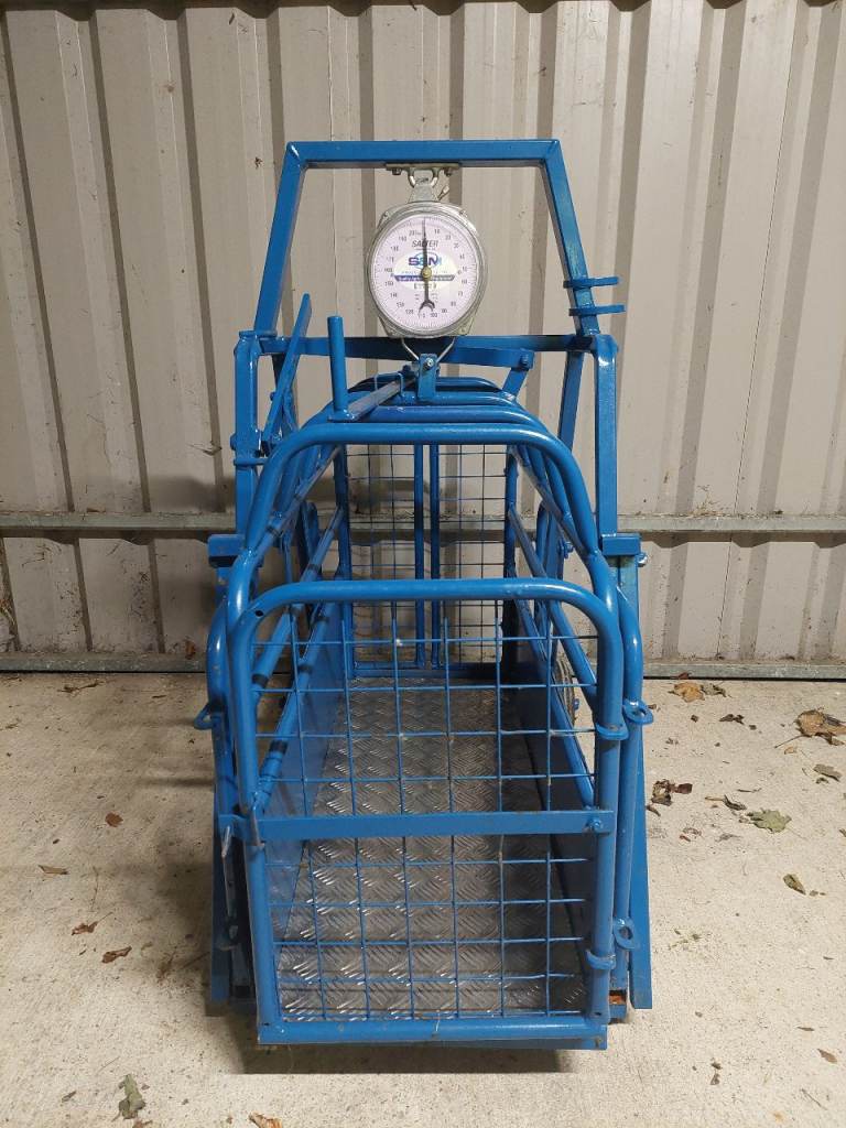 Painted Lamb Weigh Bridge with Salter Clock