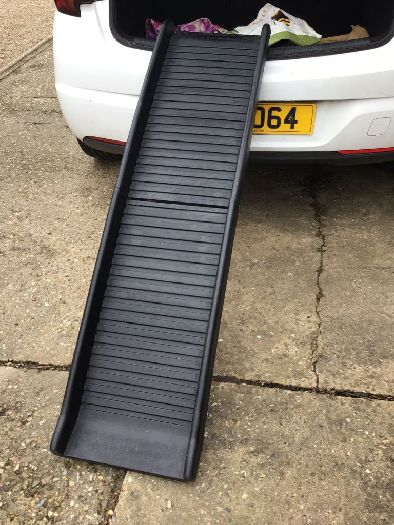 Dog ramp