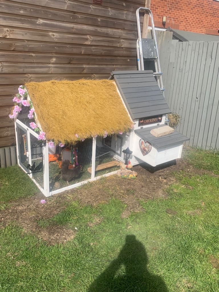 Chicken coop