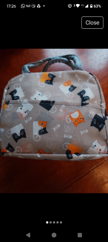 Cat pattern packed lunch bag