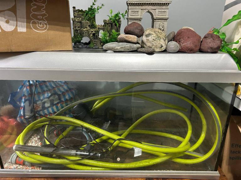 Fish tank and accessories 