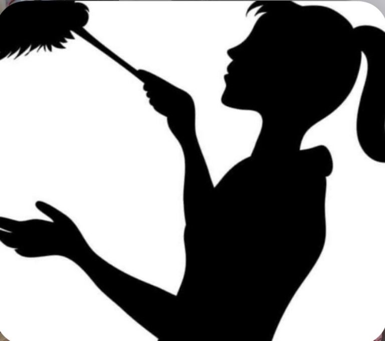 STAR BRIGHT CLEANING SERVICES