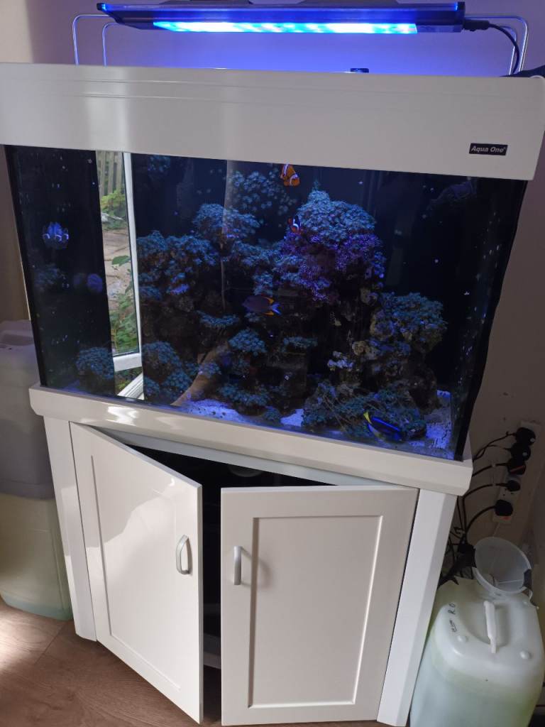 Aqua One Aquarium with Cabinet – White, Good Condition