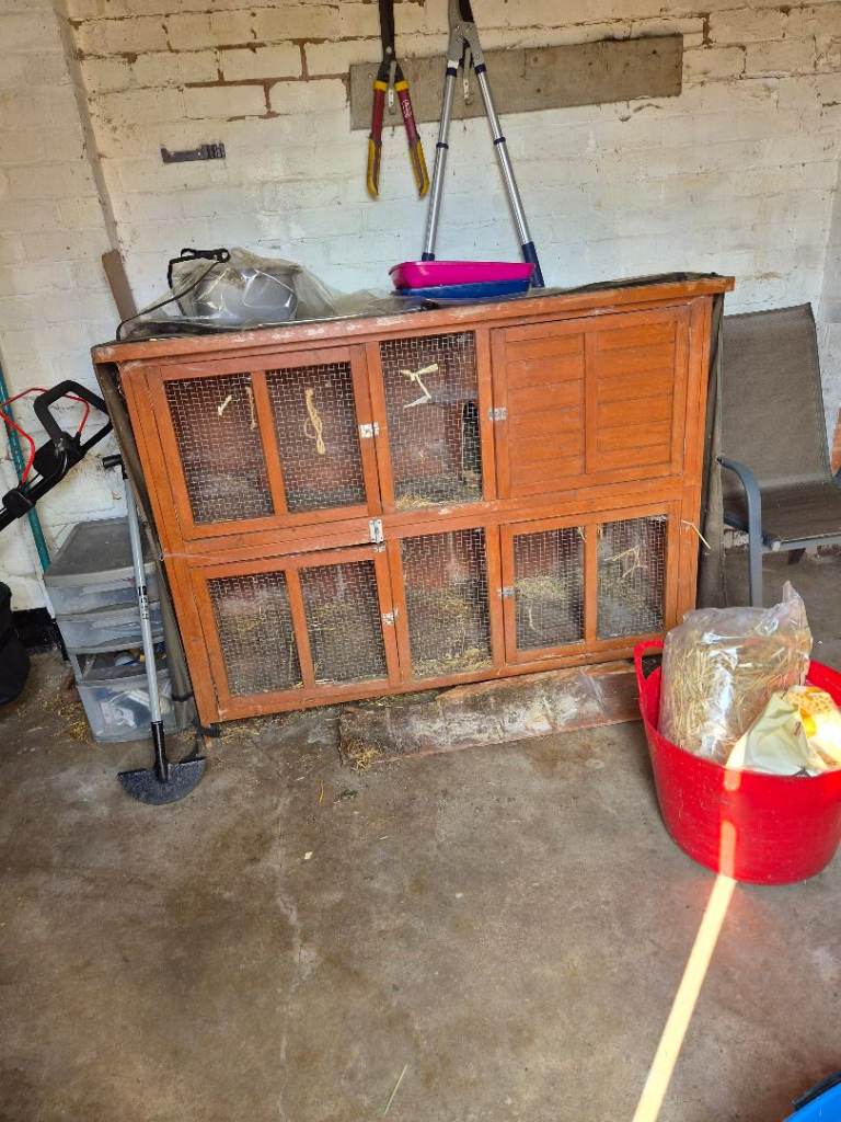 Rabbit/guinea pig Hutch