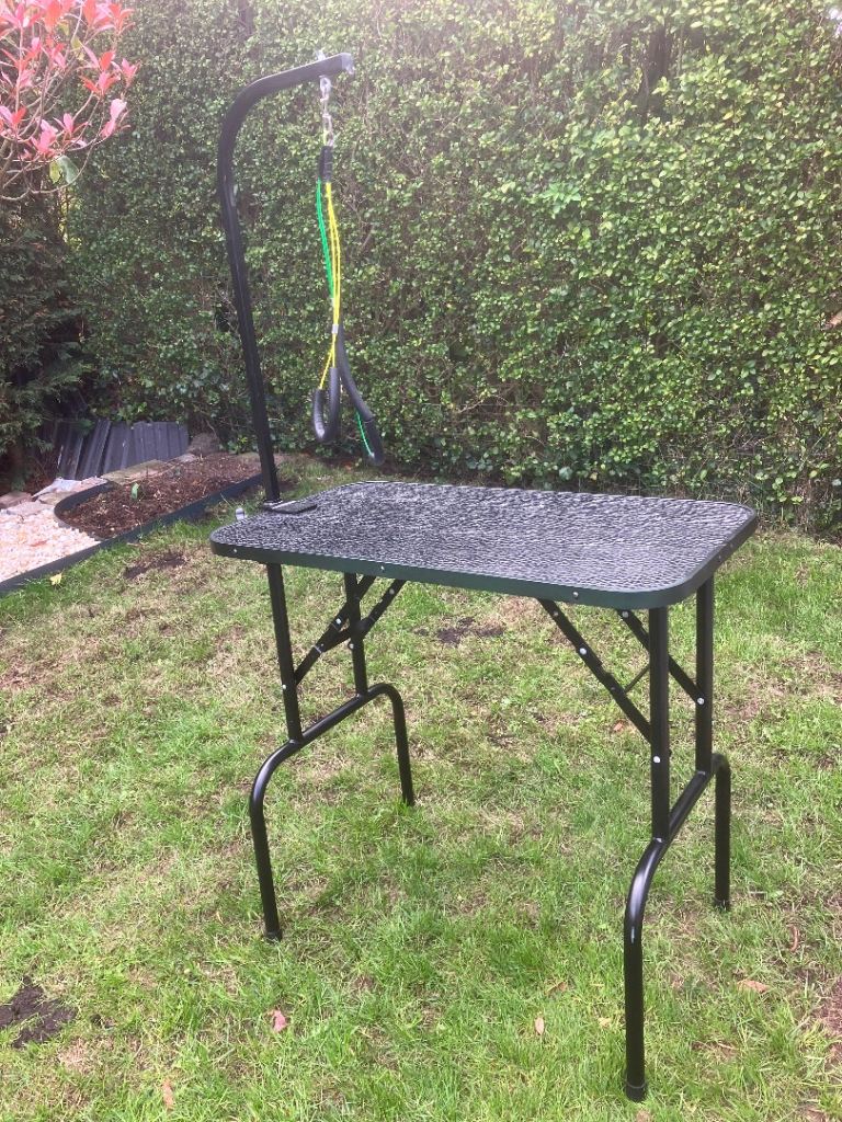 Dog Grooming Table 