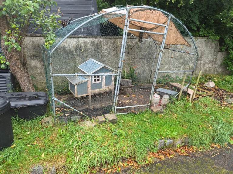 Free chicken coop and enclosure