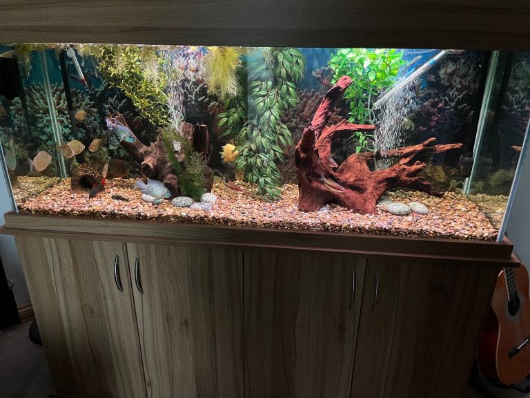 Large 5ft Fish Tank with Cabinet – Good Condition