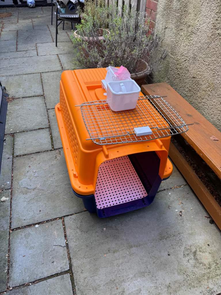 Pet carrier 