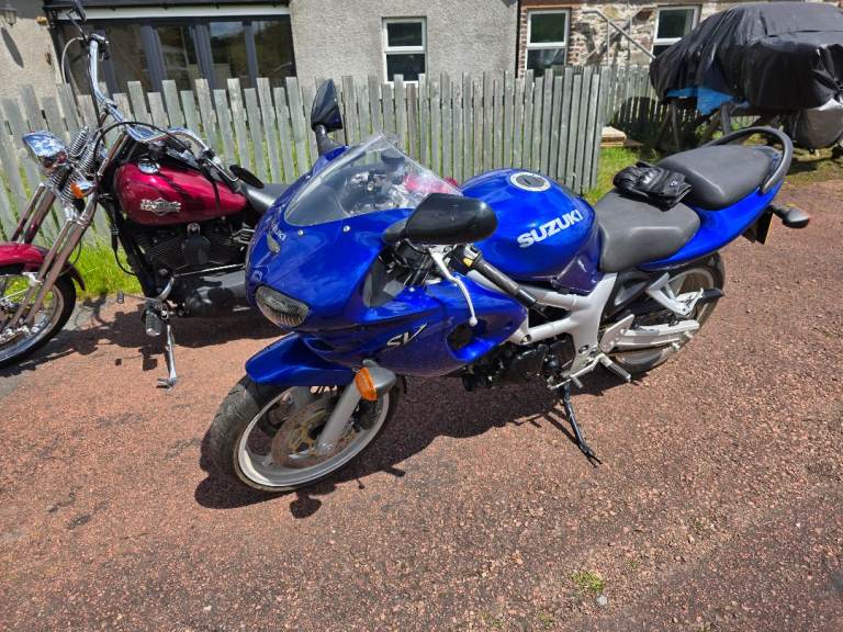 Suzuki, SV, 1999, 645 (cc)