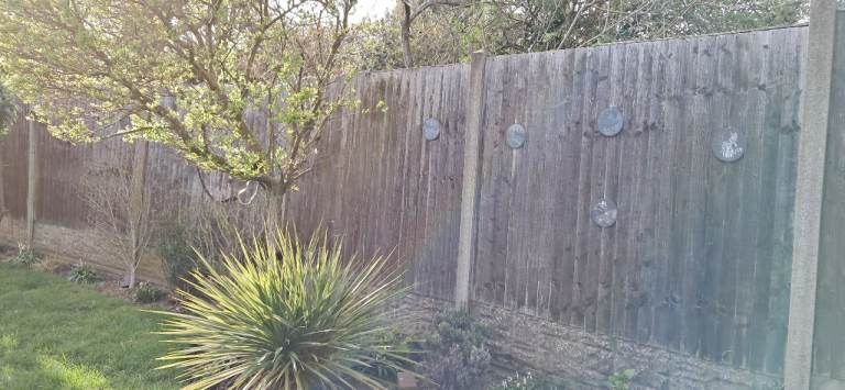Fencing and posts