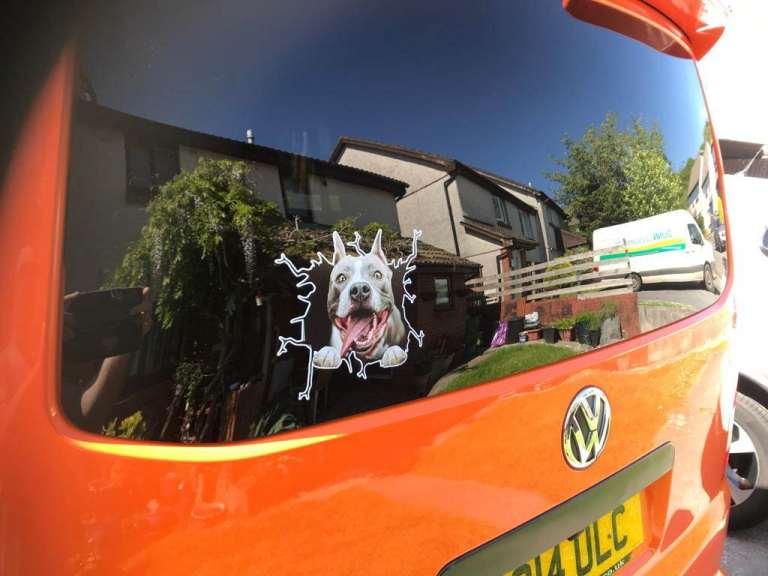 Novelty Dog Stickers