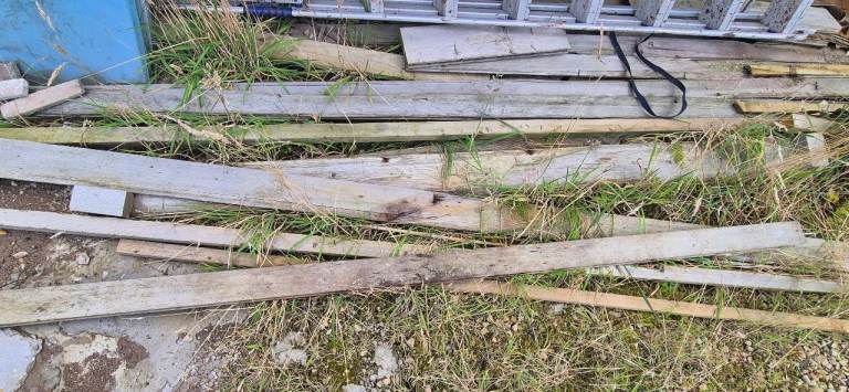 Free Firewood wood