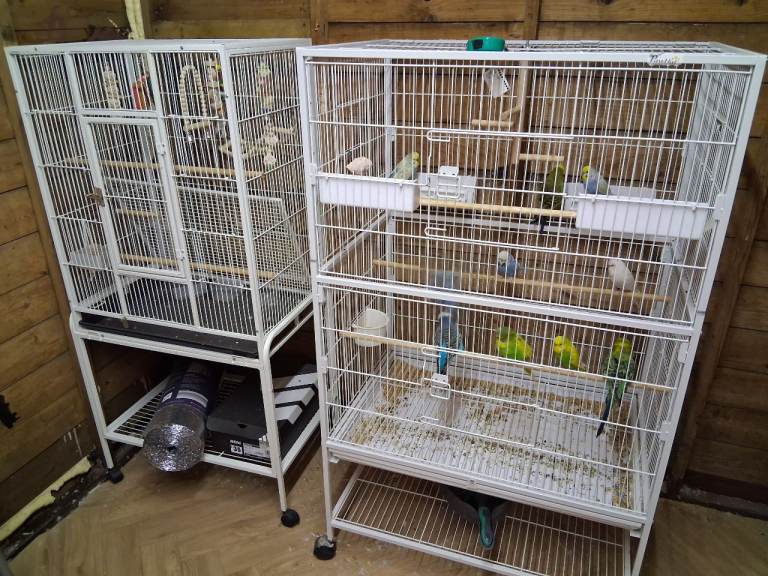 bird  cages