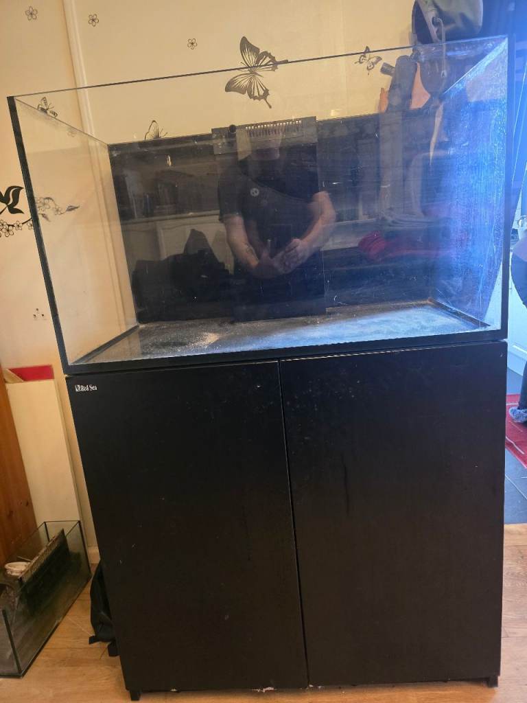 Redsea reefer 250