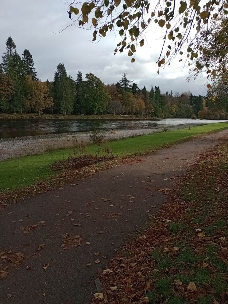 2 Bed 1 Bathroom Ground floor Apartment