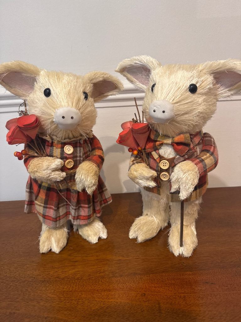 image for Autumn pig decor 