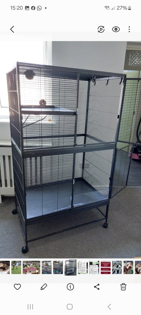 Rat cage
