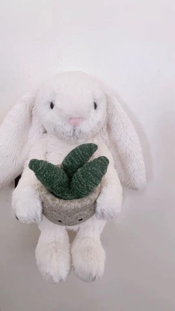 Jellycat Amuseable Potted Succulent Bunny – As Good As New