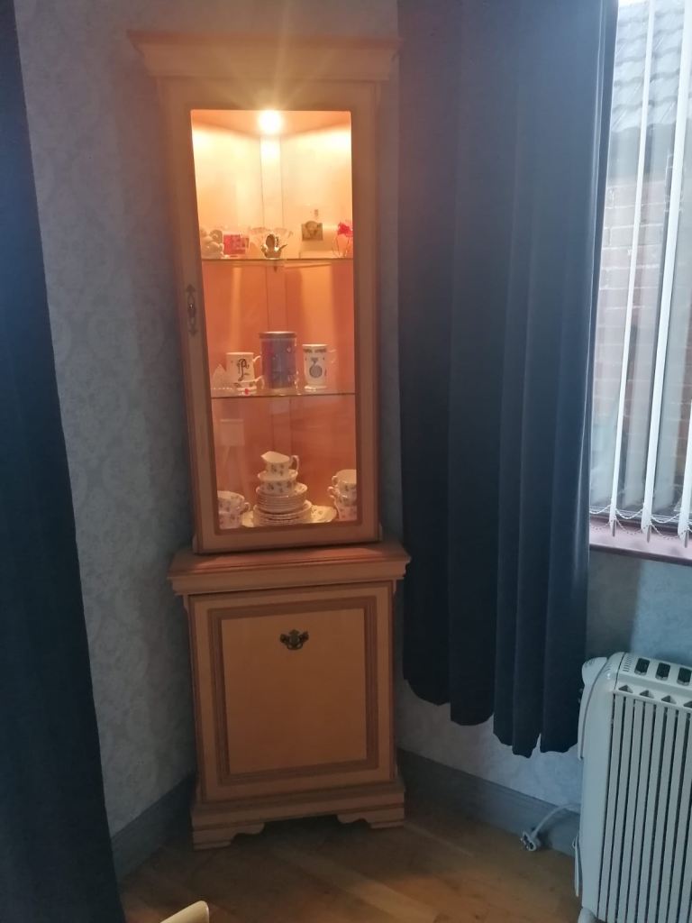 Wooden Display Cabinet with Glass Door and Storage