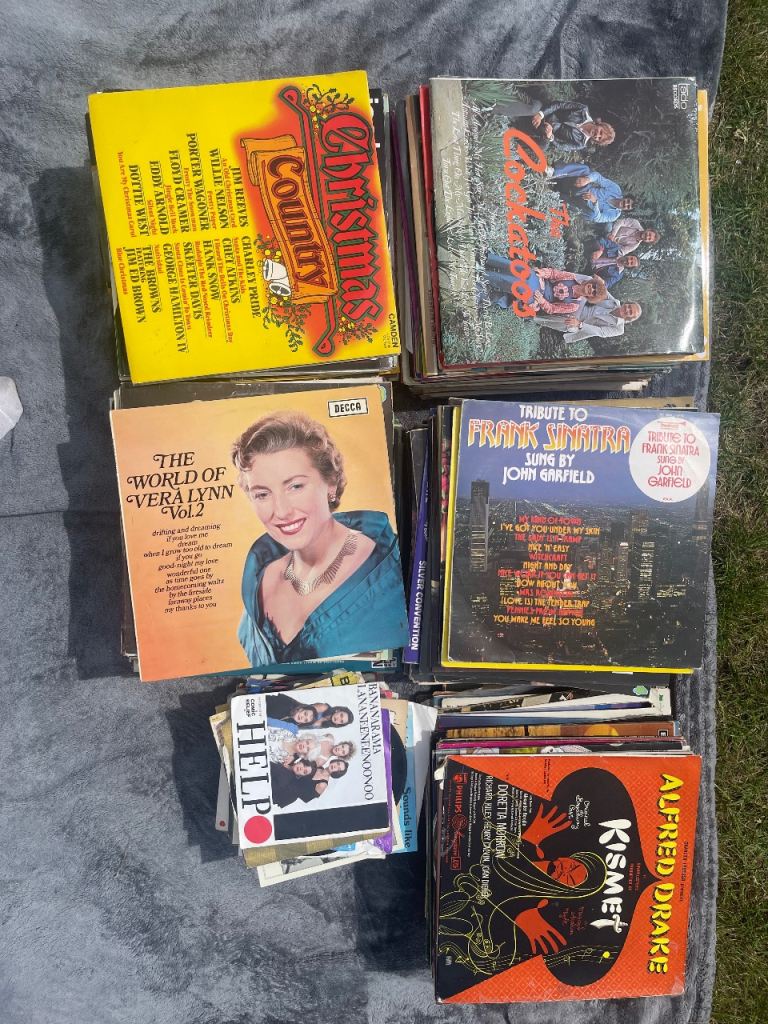 Vinyls (just under 300) 