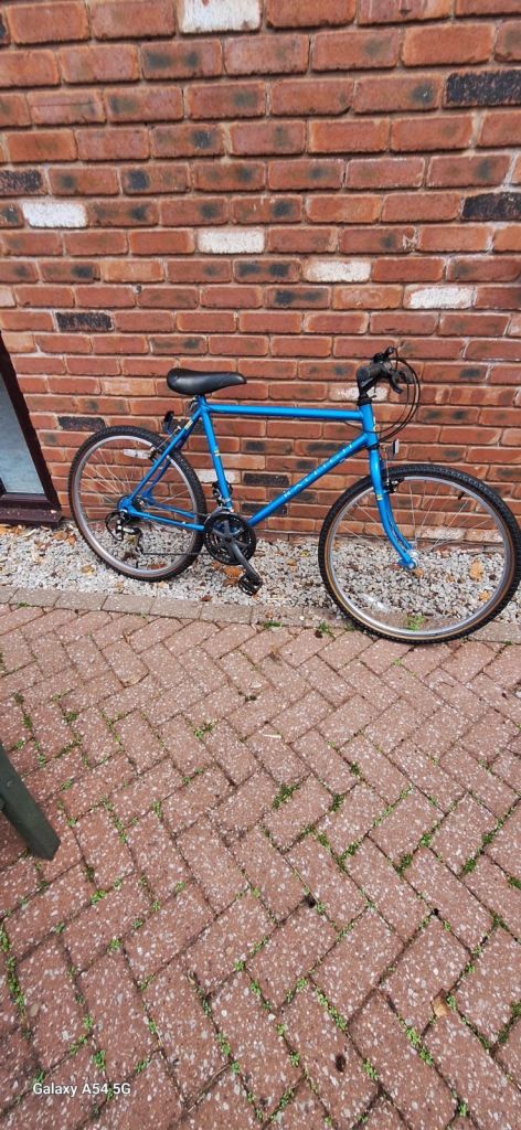 Raleigh 23in bike