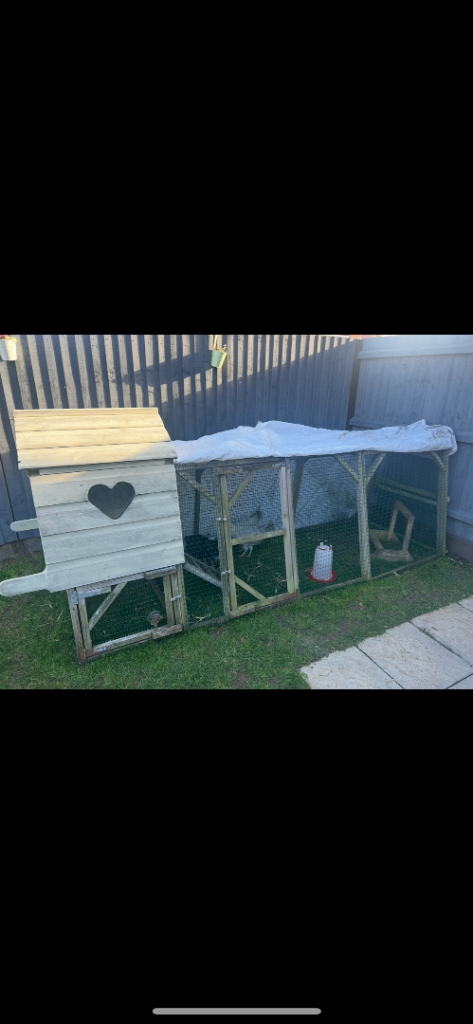 Chicken coop/run/hutch