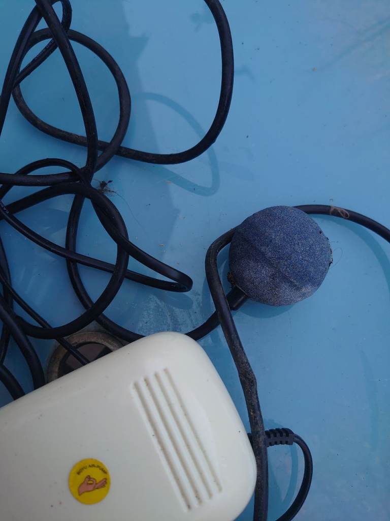 Hydroponics excesseri 