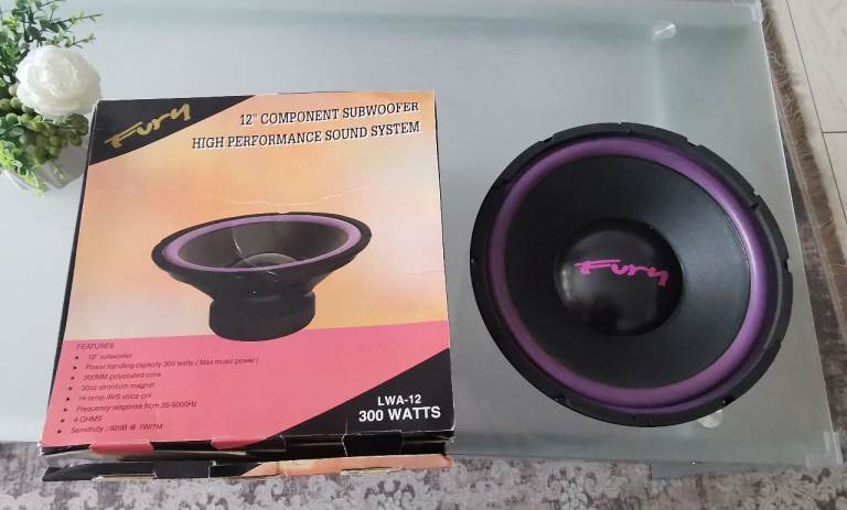 New Fury 12" Component Subwoofer