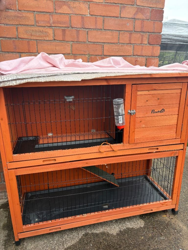 two tier rabbit hutch  