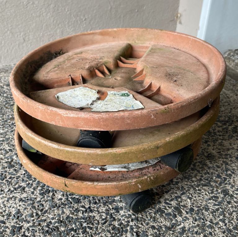 Plastic plant caddy (3)