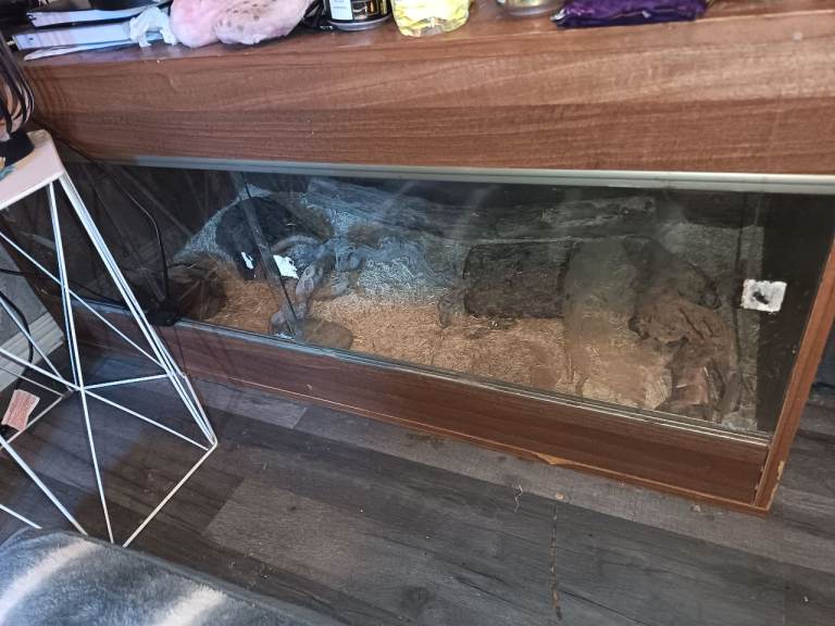 Vivarium 