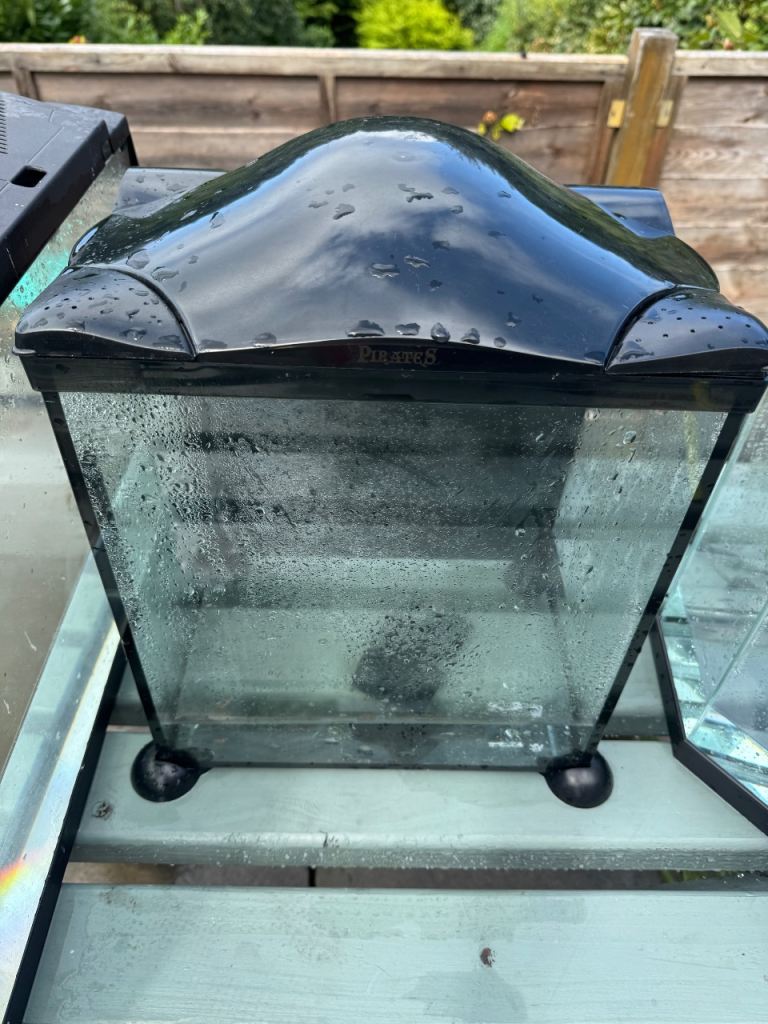 Small Glass Aquarium / Fish Tank with Lid