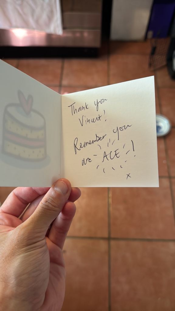 Domestic cleaner in Brighton/Hove