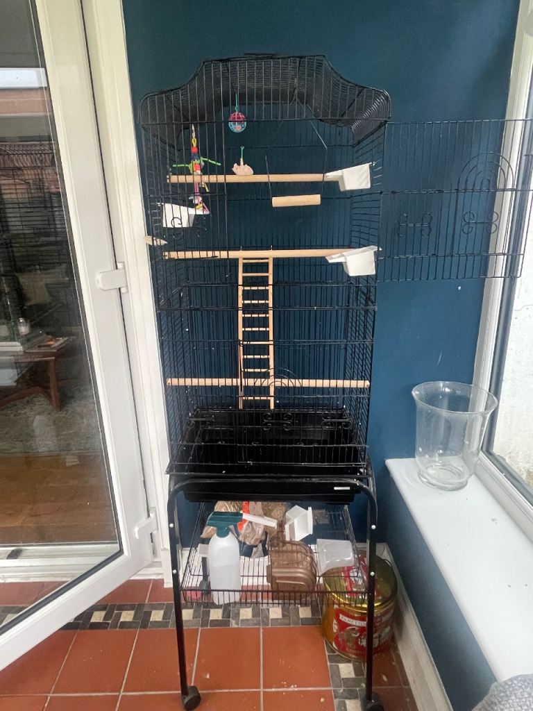 Bird cage and stand