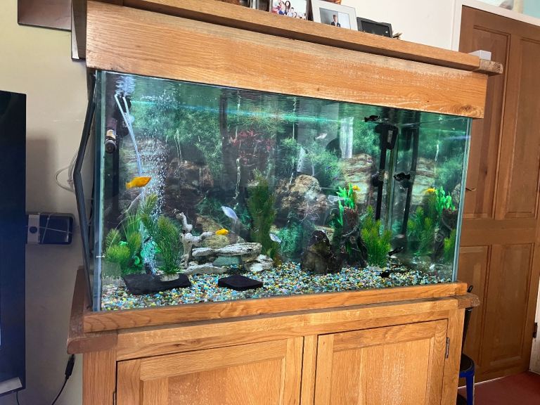Large Blonde Oak 400L Fish Tank with Filter & Pump