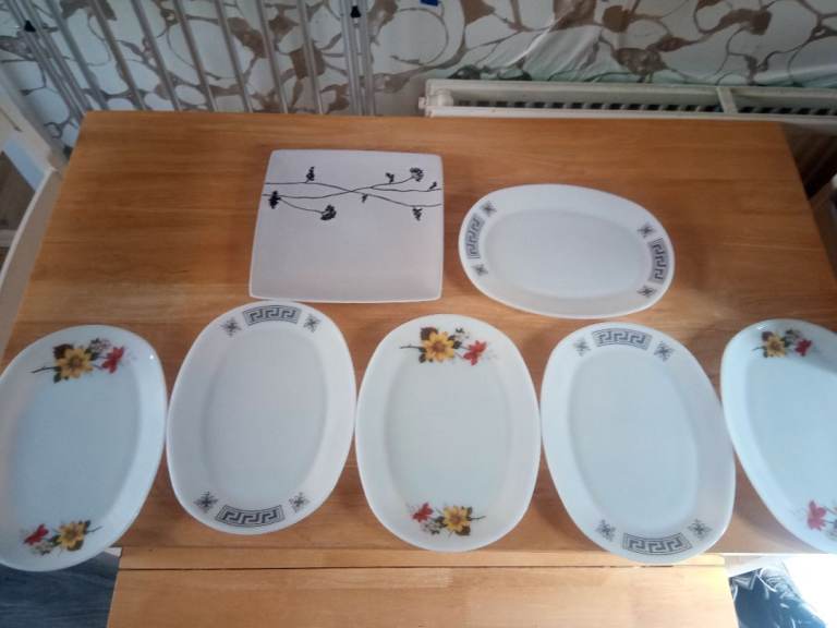 7 large dinner plates