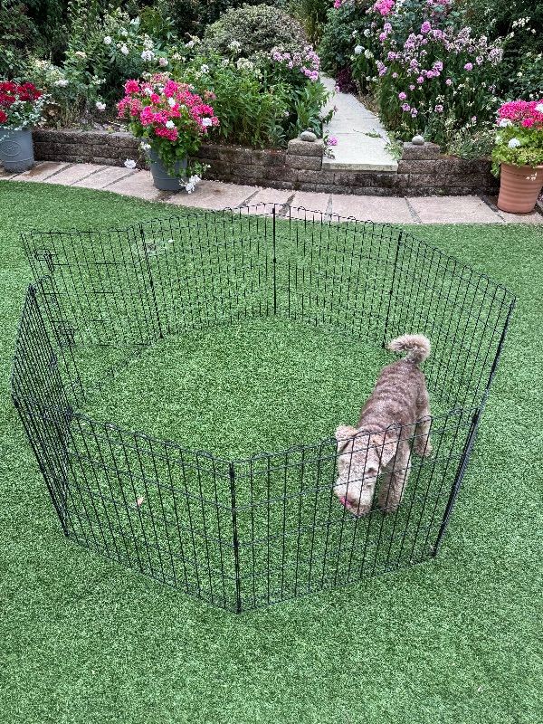 Foldable pet playpen with door