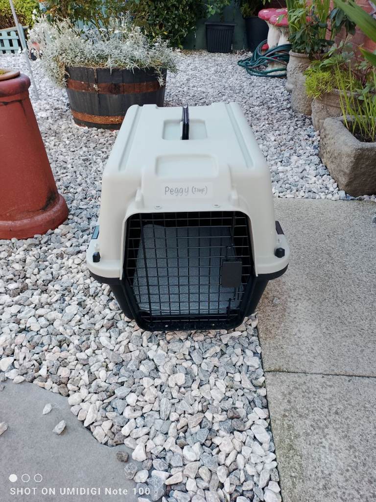 Pet cat dog small animal carrier basket 